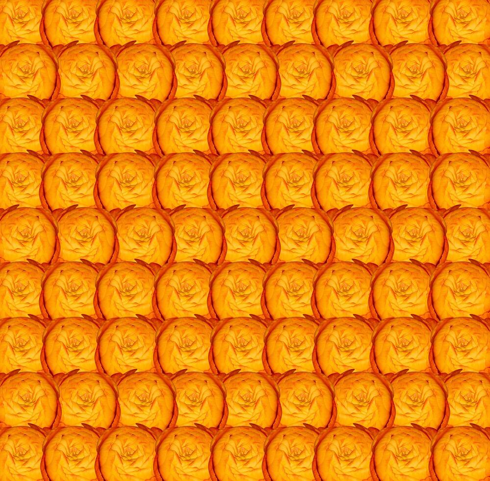 A pattern of orange circles on a black background photo