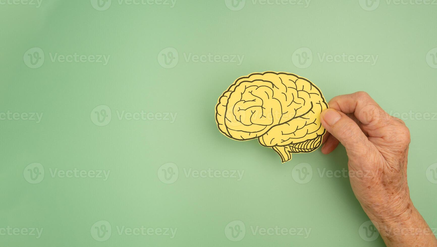 Hand holding a brain shape made from paper on a green background photo
