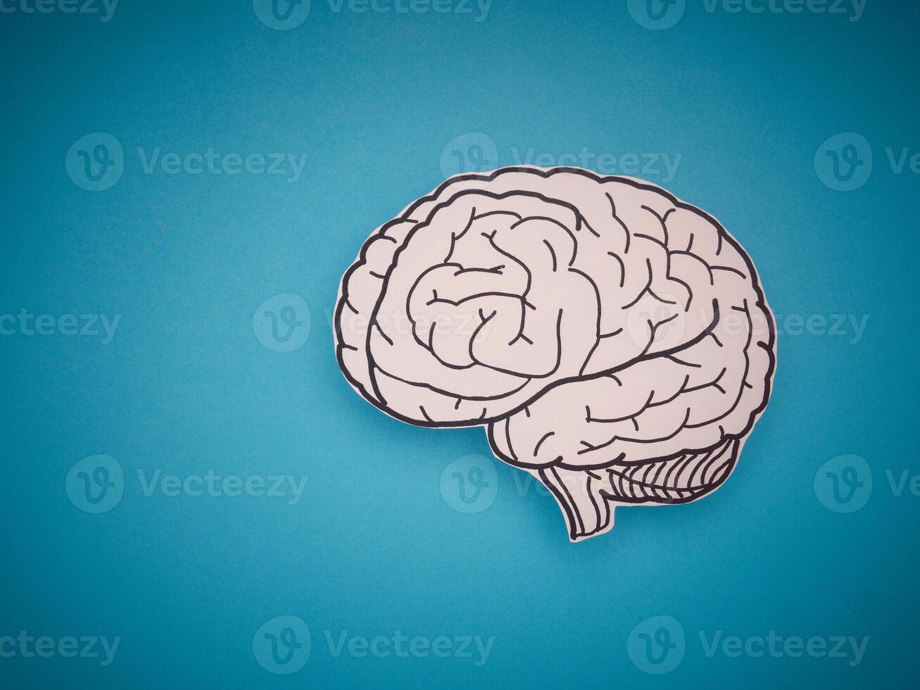A brain shape made from paper on a blue background photo