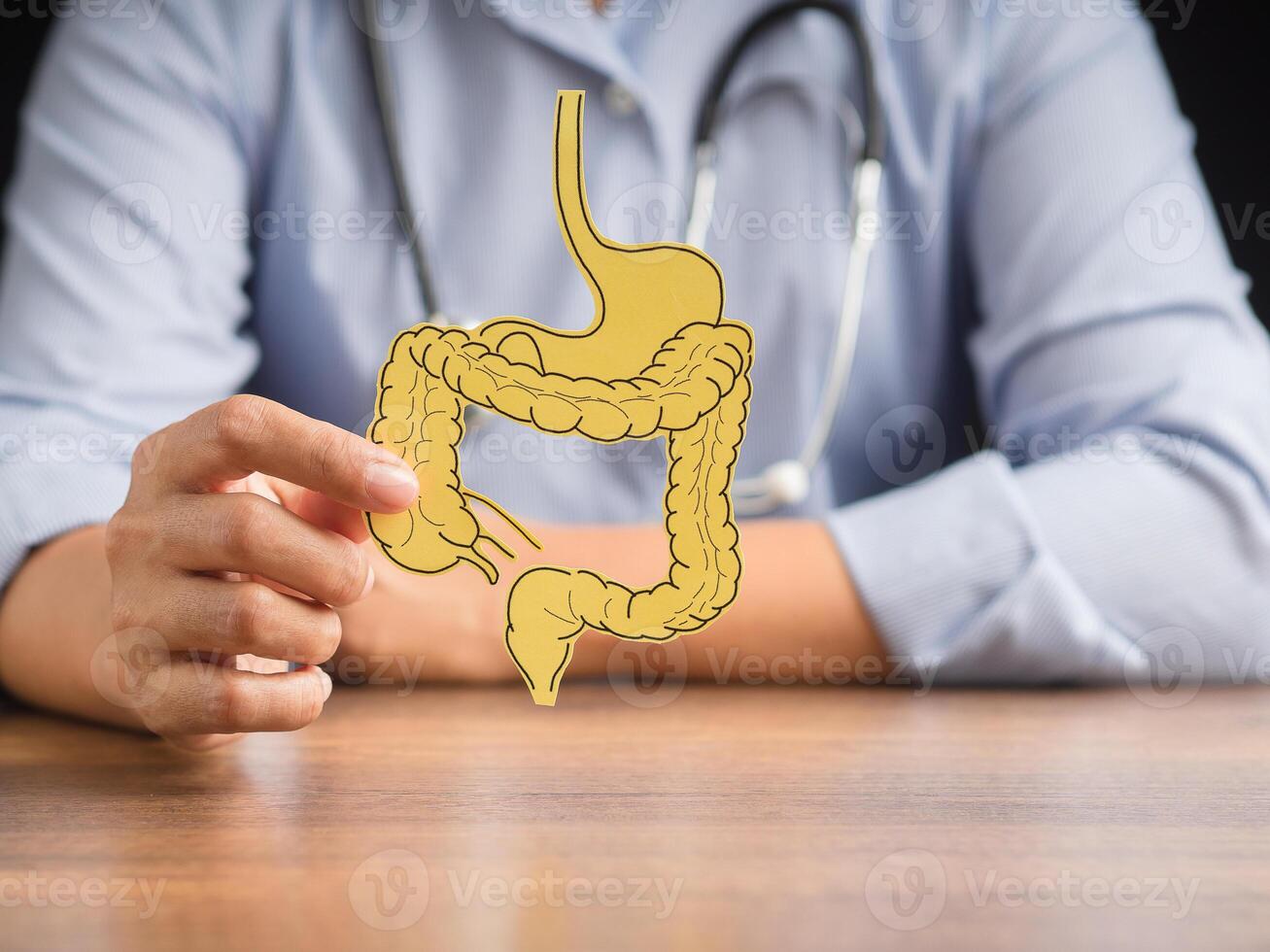 Doctor holding a large intestine shape made from yellow paper photo