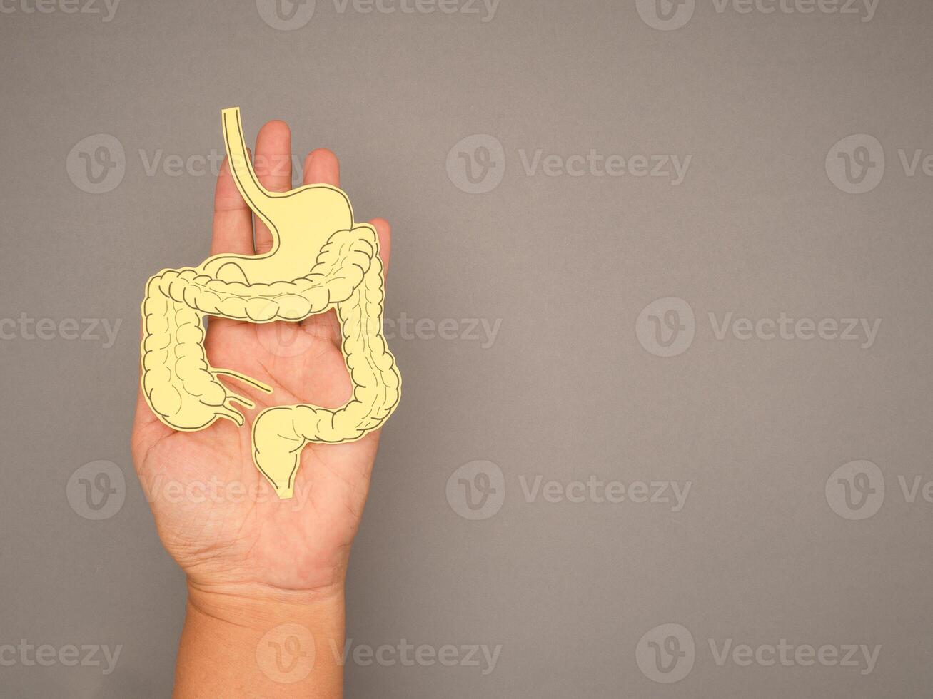 Large intestine shape made from yellow paper on a palm people photo