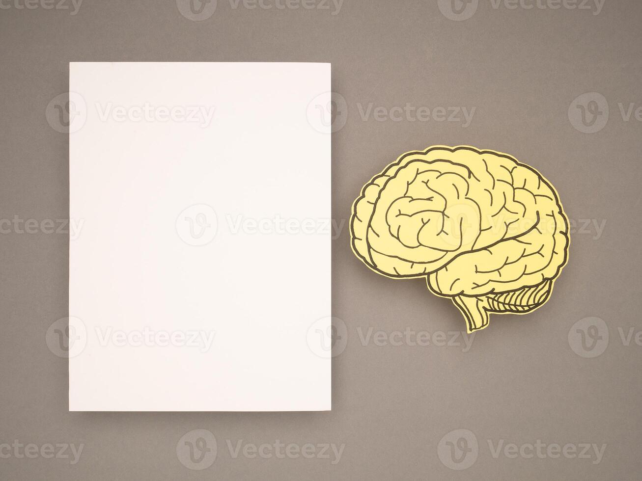 Blank white paper and a brain shape made from yellow paper on a gray background photo