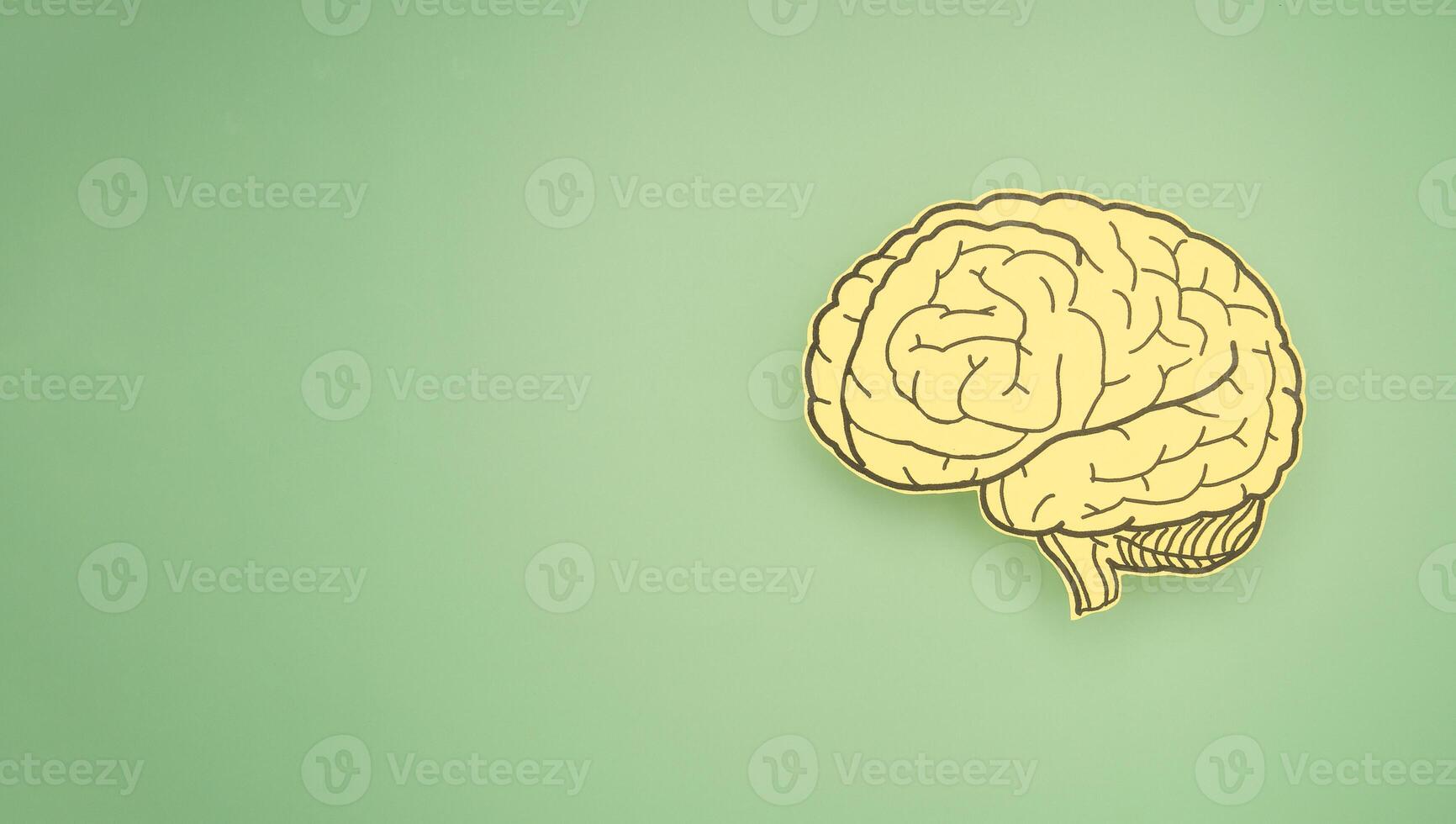 A brain shape made from paper on a green background. photo