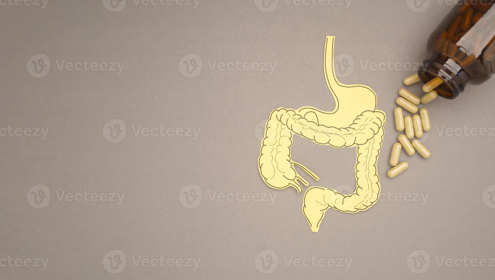 Large intestine shape made from paper and pills capsules with a bottle a gray background photo