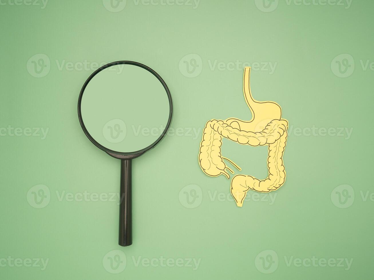 Yellow paper intestine and magnifying glass on a green background photo