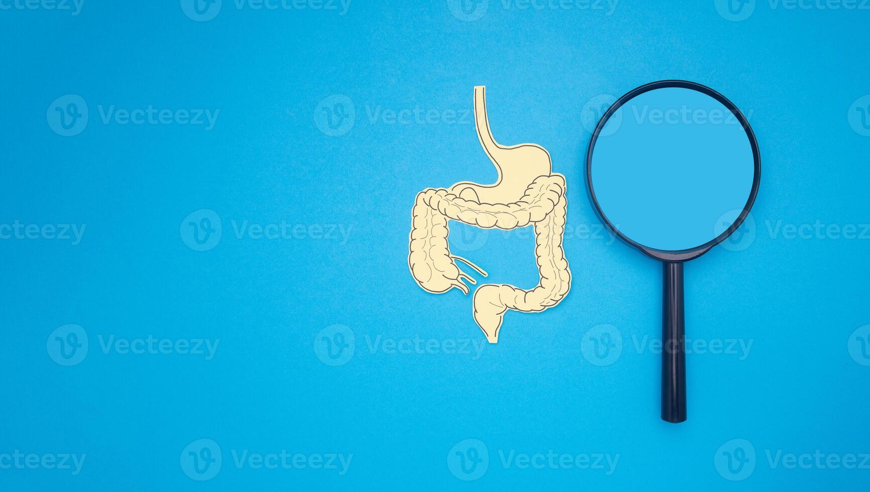 Yellow paper intestine and magnifying glass over a blue background photo