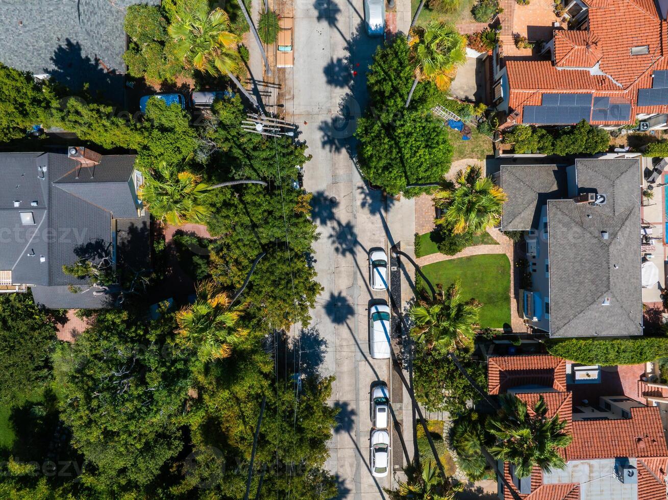 Aerial View of Residential Street with Palm Trees in Los Angeles photo