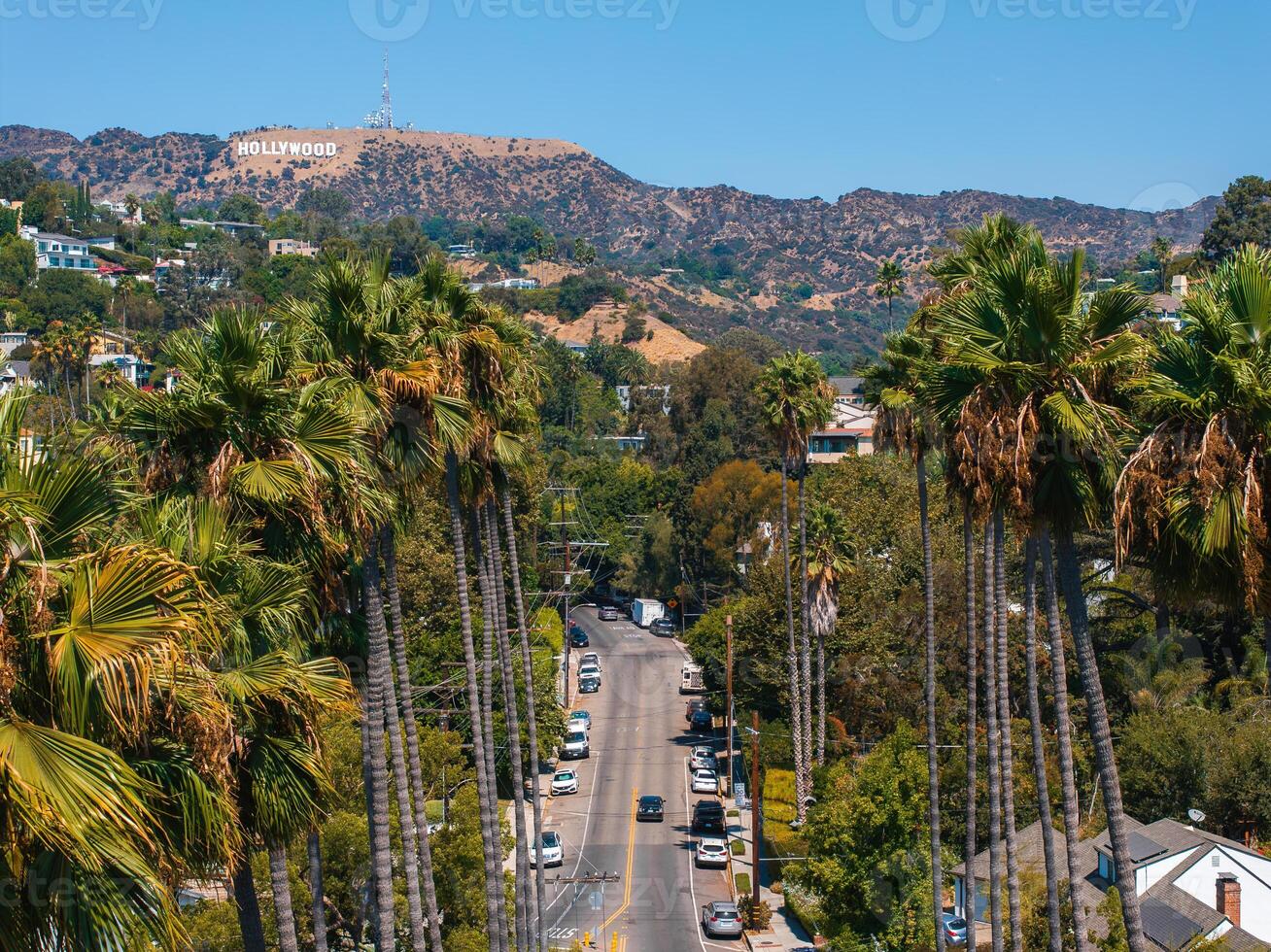 Hollywood District with Iconic Hollywood Sign and Palm Trees photo