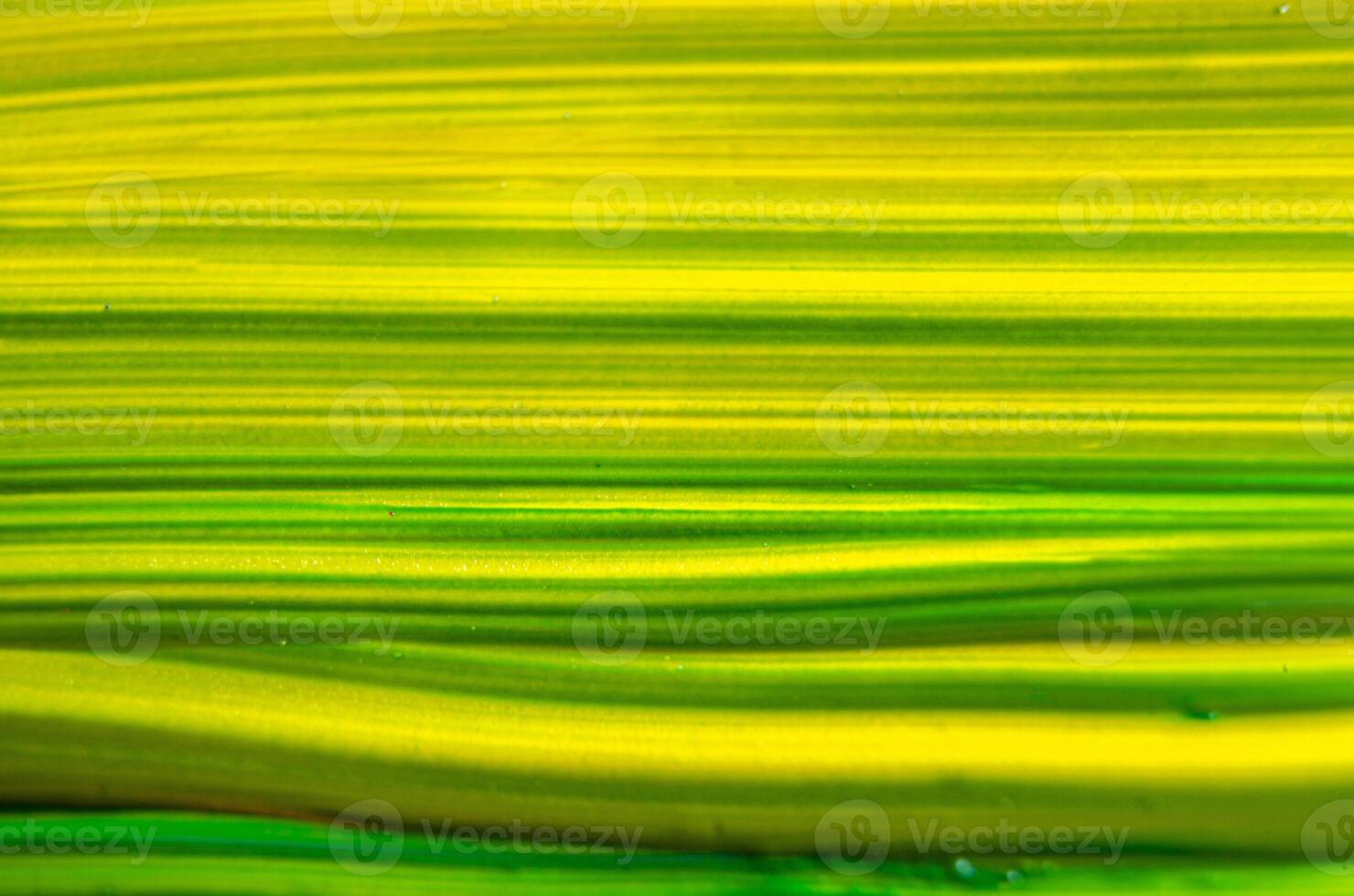 Yellow and dark green watercolor background photo