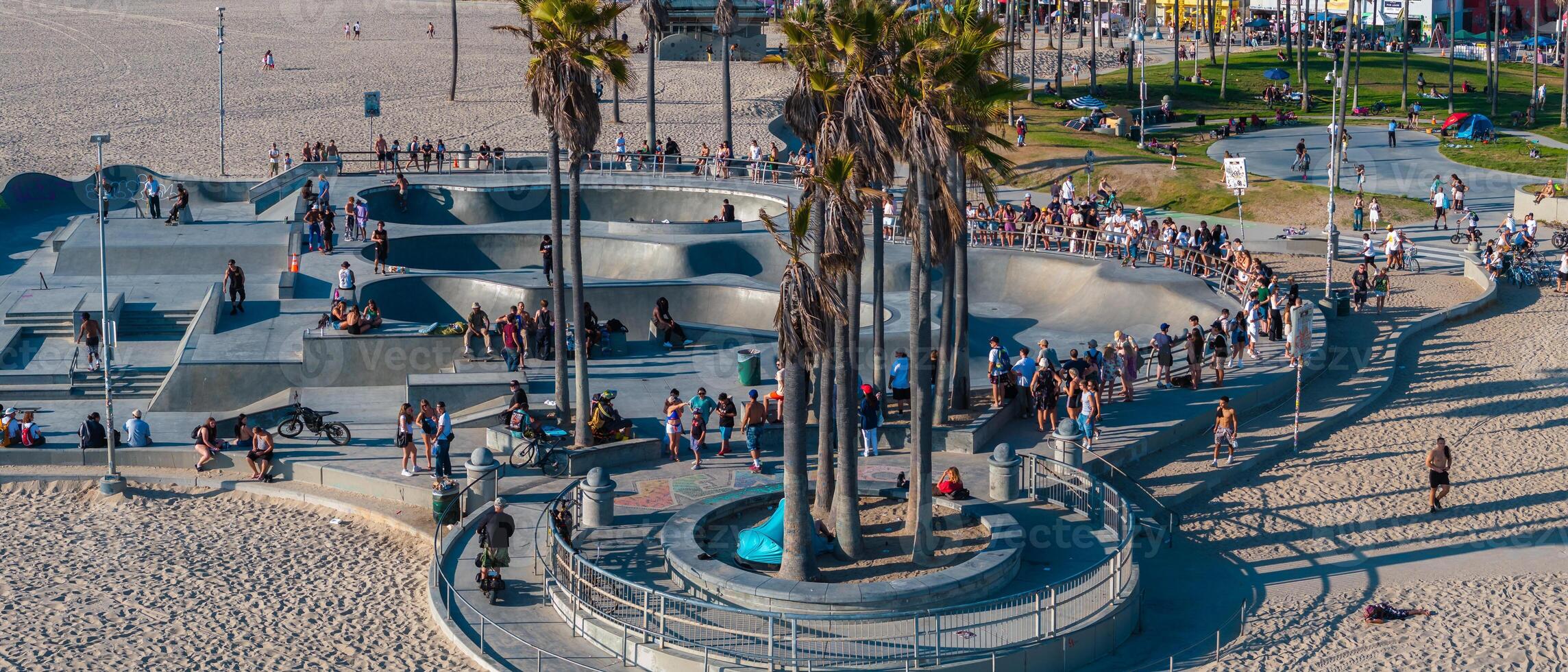 Venice Beach Skatepark with Skateboarders and Palm Trees photo