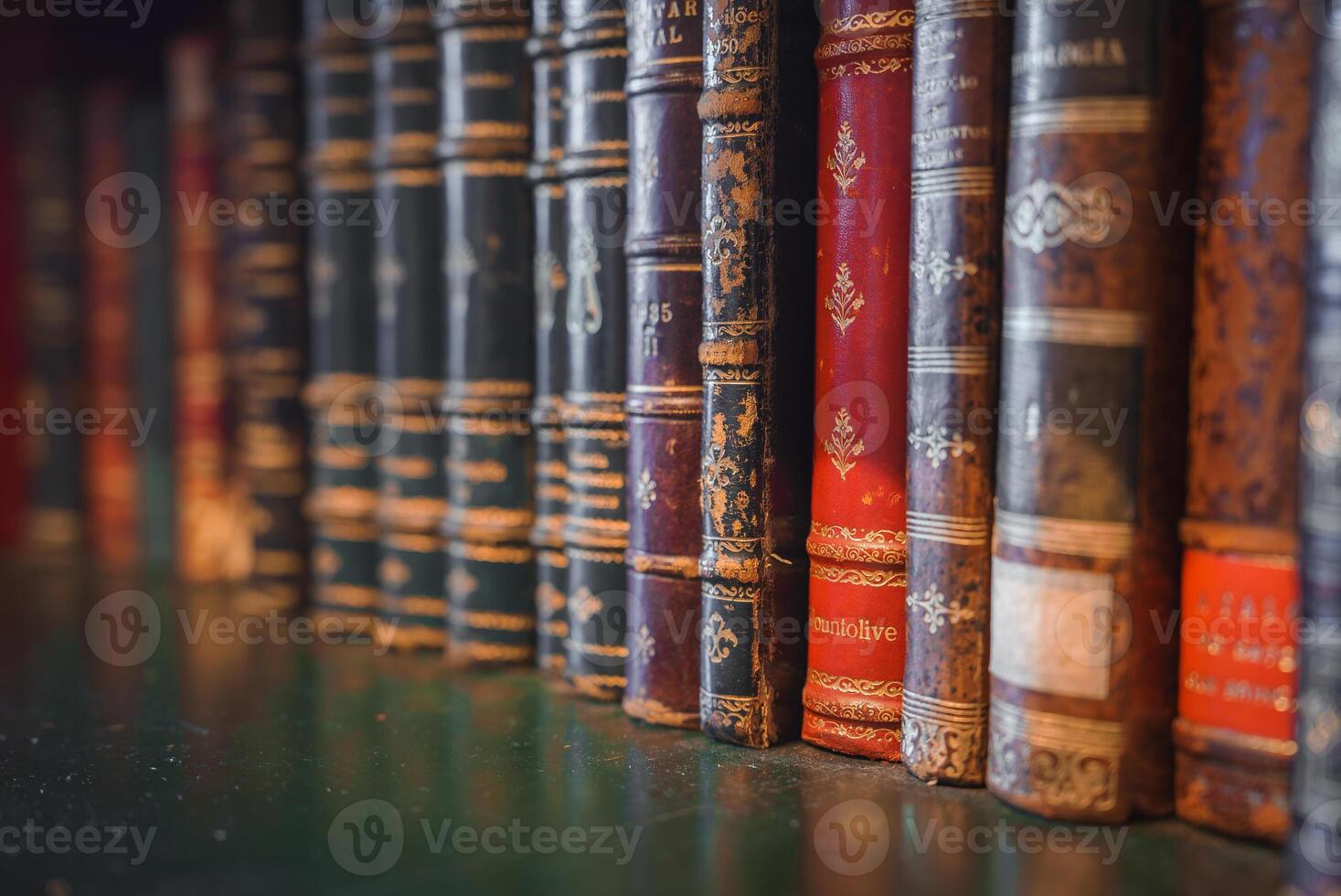 A detailed view of aged leather-bound books with intricate gold designs on their spines, showcasing historical craftsmanship in a Porto library or bookstore. photo