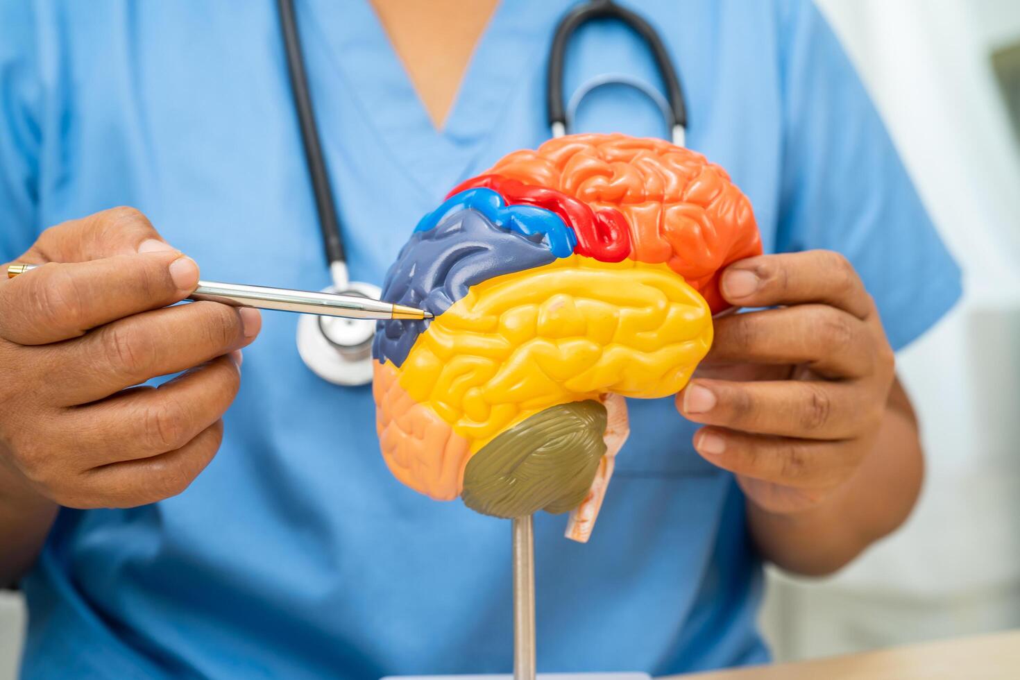 Alzheimer disease, Asian doctor holding brain anatomy model for study diagnosis and treatment in hospital. photo