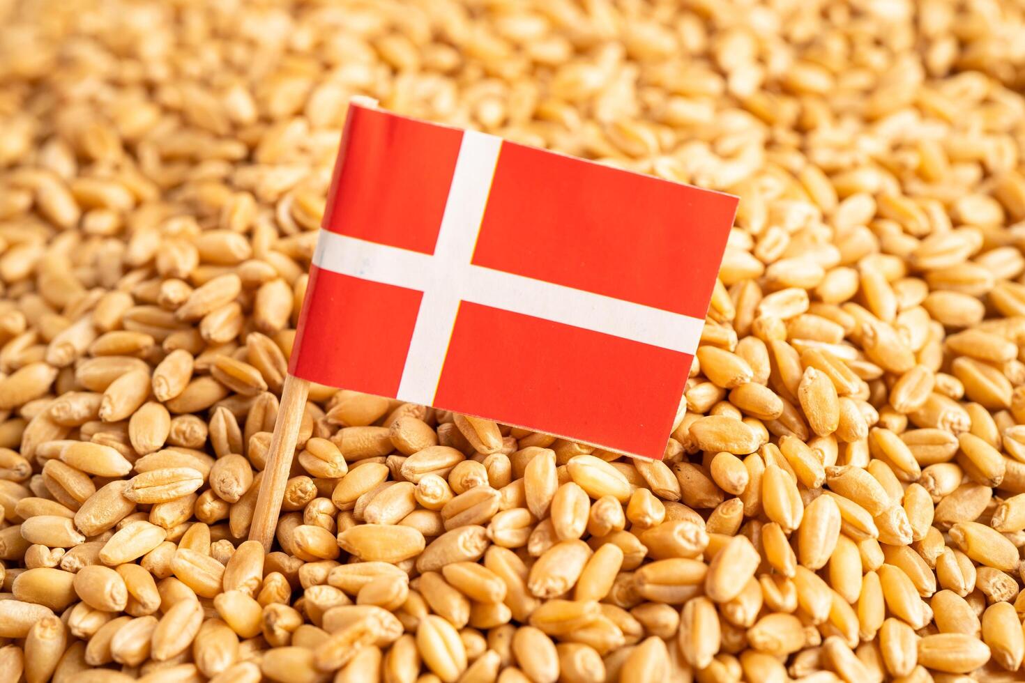 Grains wheat with Switzerland flag, trade export and economy. photo