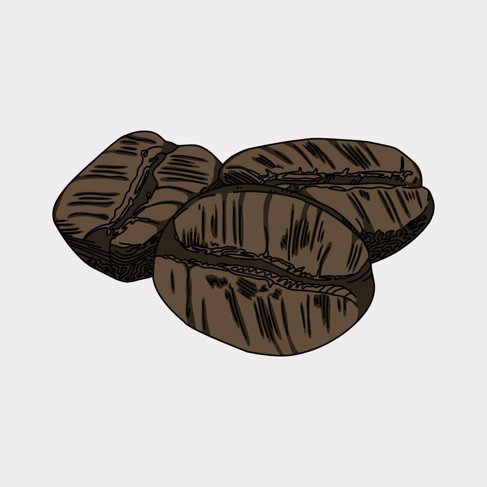 Black coffee beans hand drawn illustration artwork vector