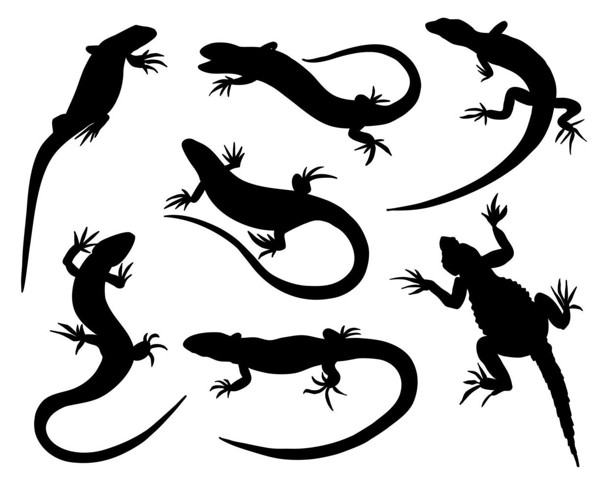 Lizard Black Silhouette Set. Reptile Animal Collection Isolated on White Background vector