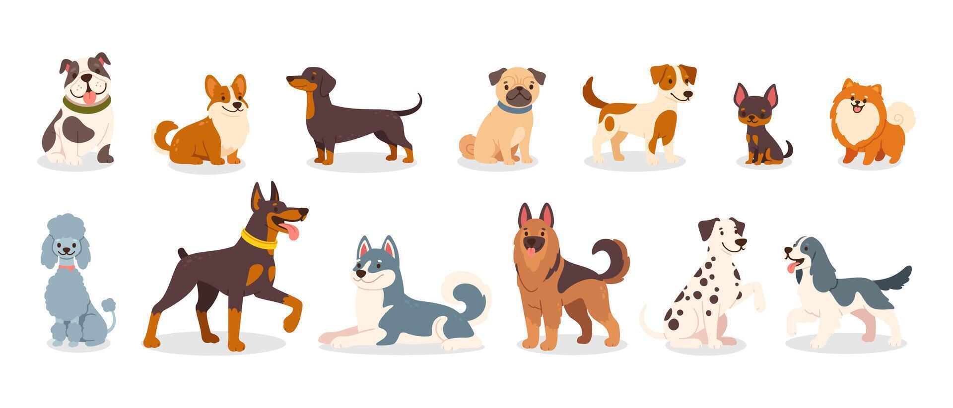 Cute dog breeds. Cartoon puppies and doggy pet. Funny friendly animals characters. Happy corgi, doberman, dalmatian, pug, dachshund. Flat puppy set vector