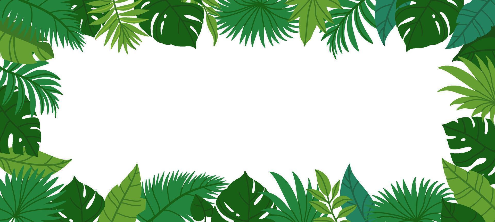 Tropical leaves frame. Summer jungle leaf border. Decorative botanical green foliage and plants for invitation, greeting card, banner. Cartoon native illustration vector