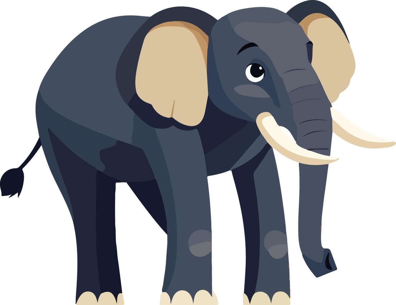 elephant perfect for educational designs vector