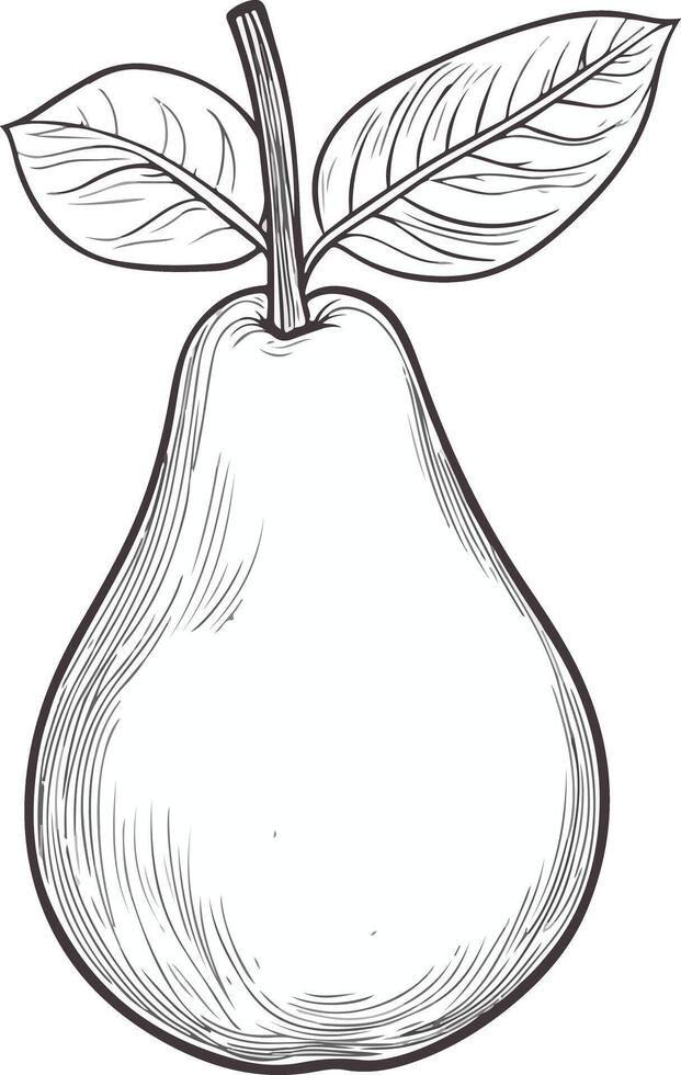 Pear with leaves sketch vector