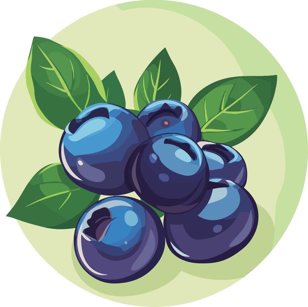 Blueberries delicious superfood vector