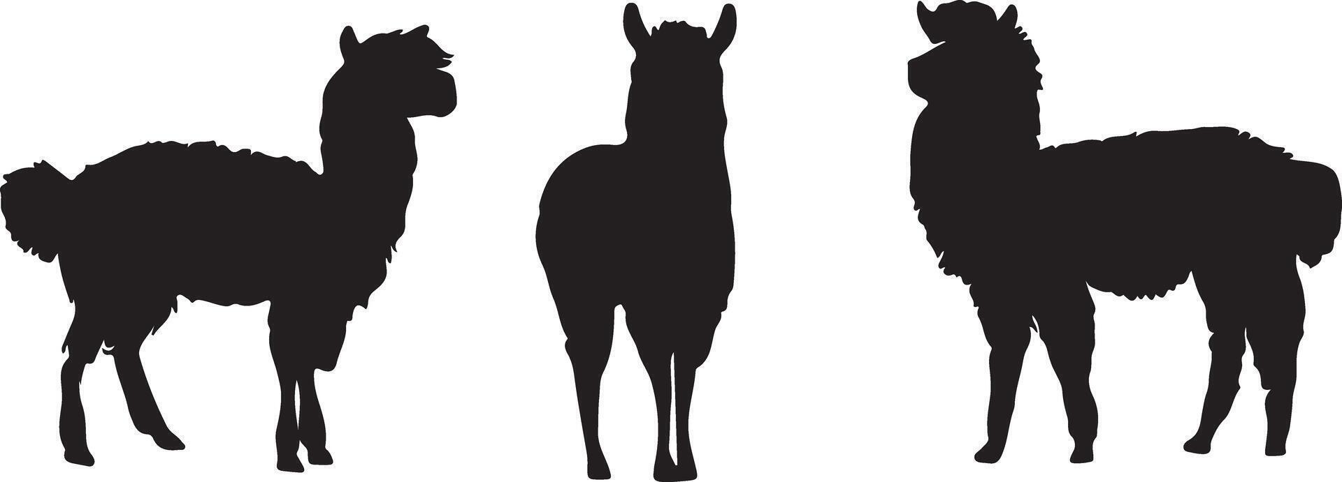 Alpaca and Llama Silhouettes Set Isolated vector