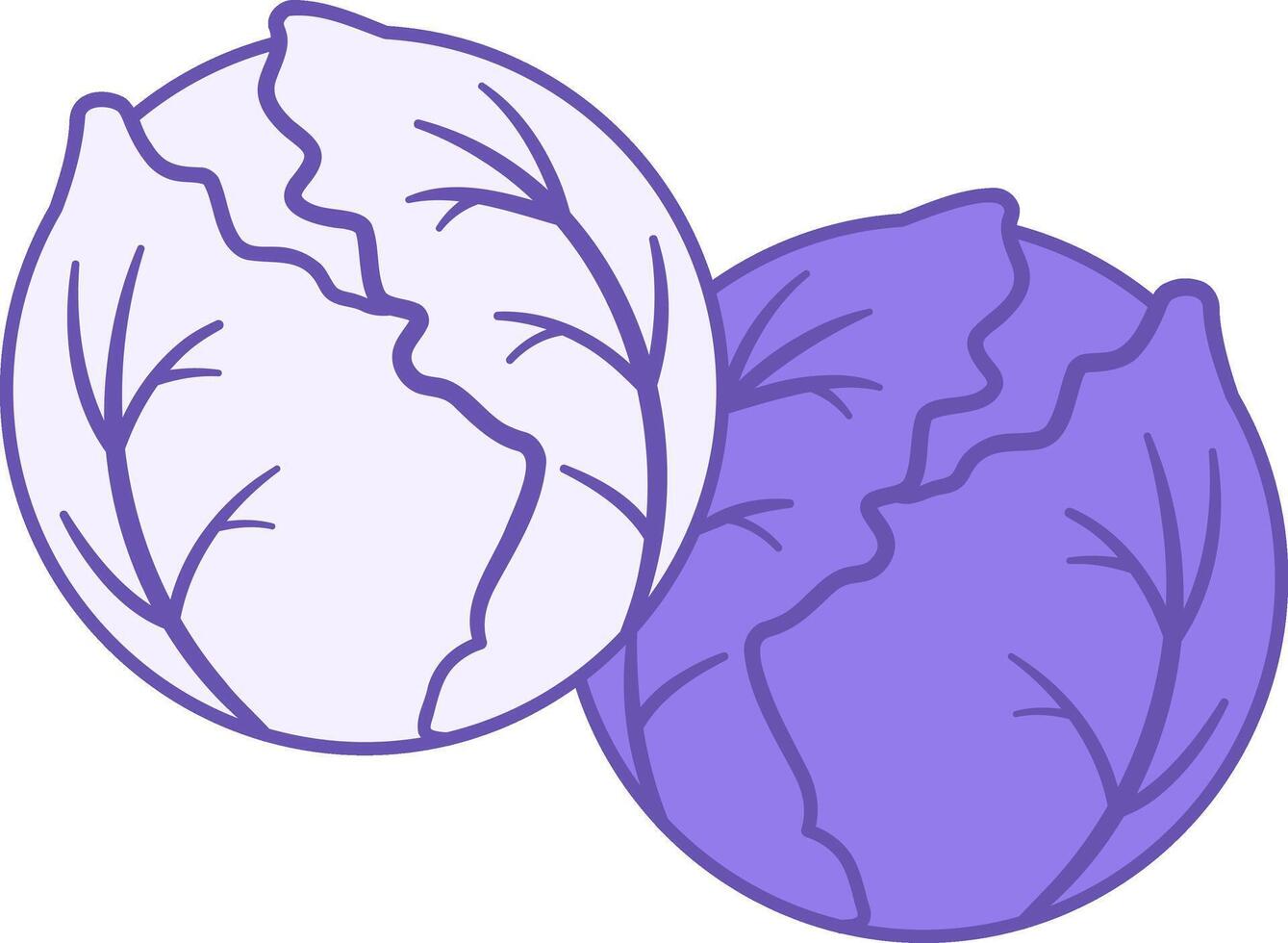 Cabbage Colored Icon. Brussels Sprouts Icon. Vegetarian food. Natural and Organic Products. Vegetables Concept vector