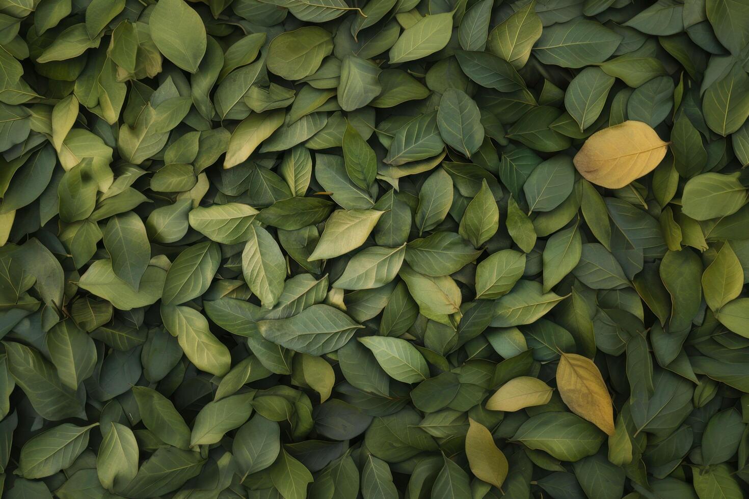 A vibrant leaves texture background showcases the intricate details of foliage photo
