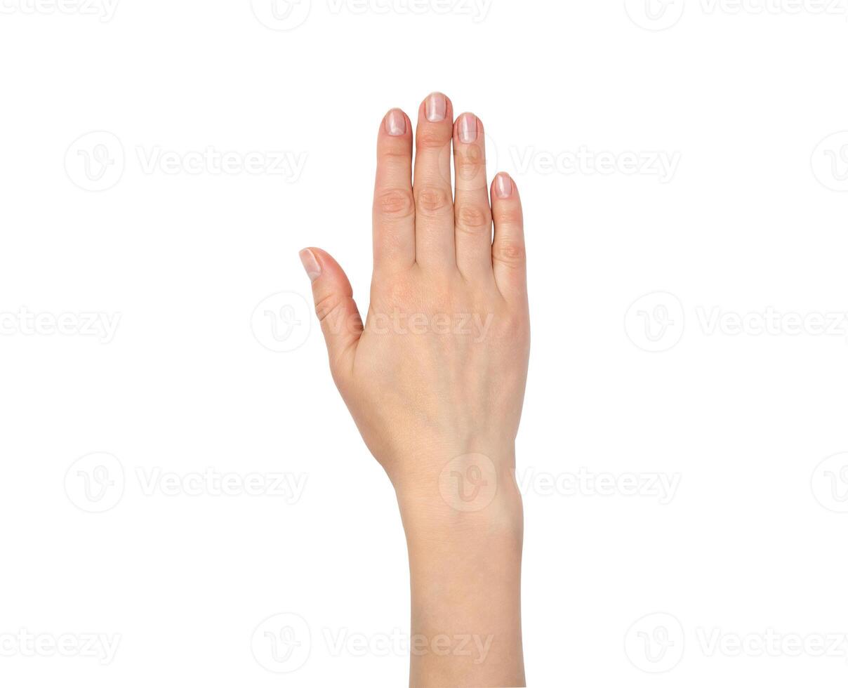 Tender female hand with neutral manicure isolated on white background. photo