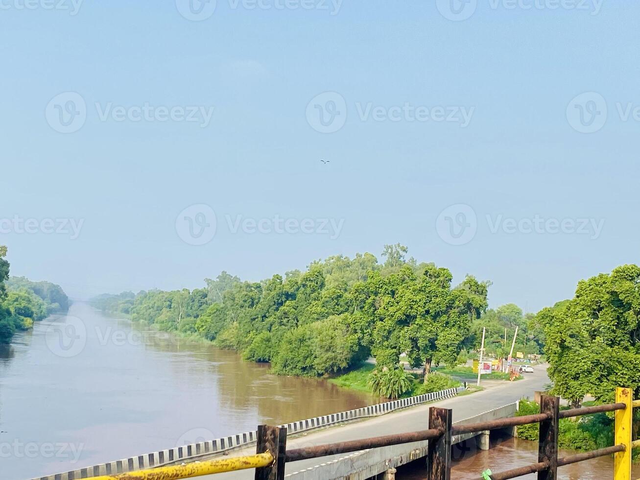 River and trees in Punjab, India photo