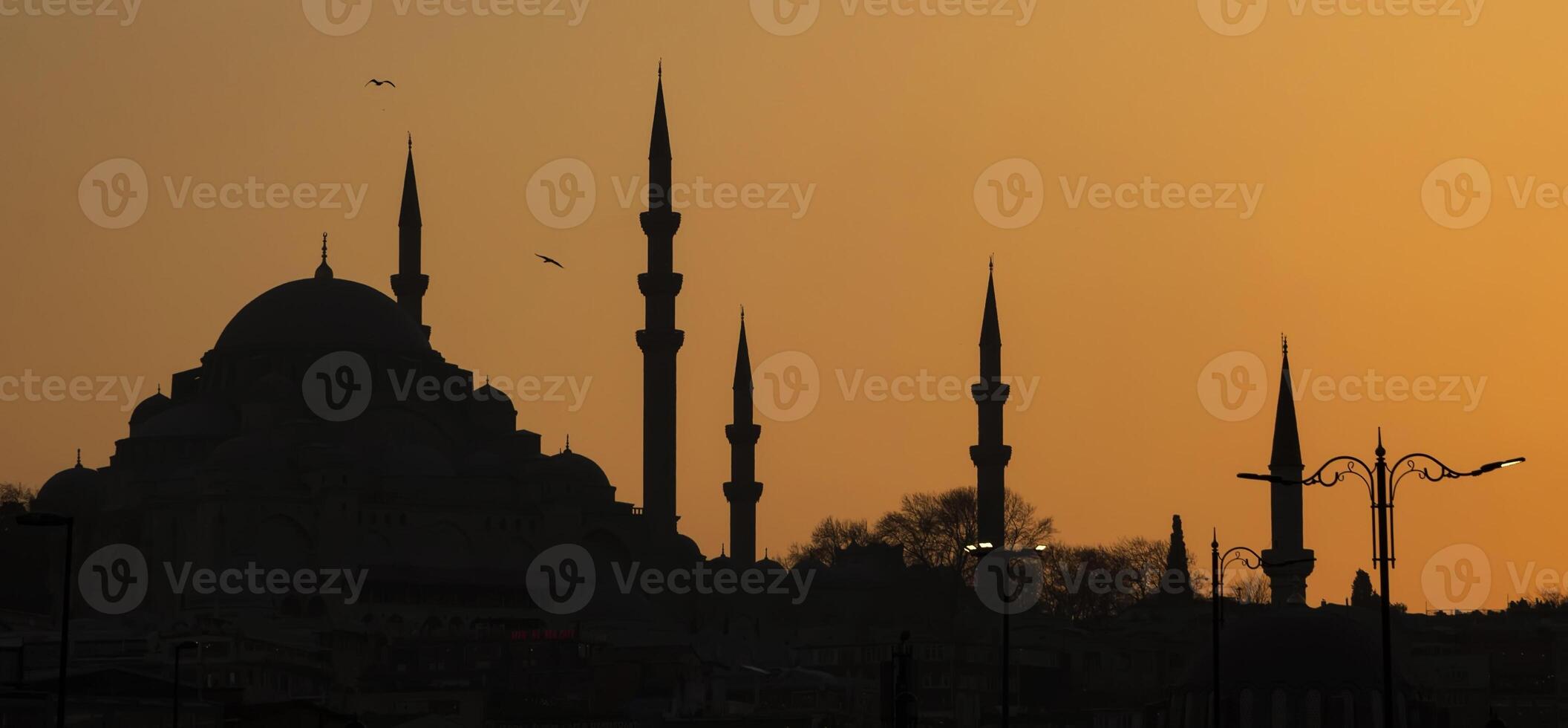 Silhouette of Sultanahmet mosque with minarets in setting sun in Istanbul Turkey. photo