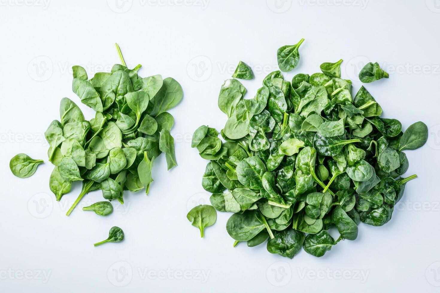 Fresh spinach leaves arranged neatly on a light background highlighting their vibrant green color and natural texture photo