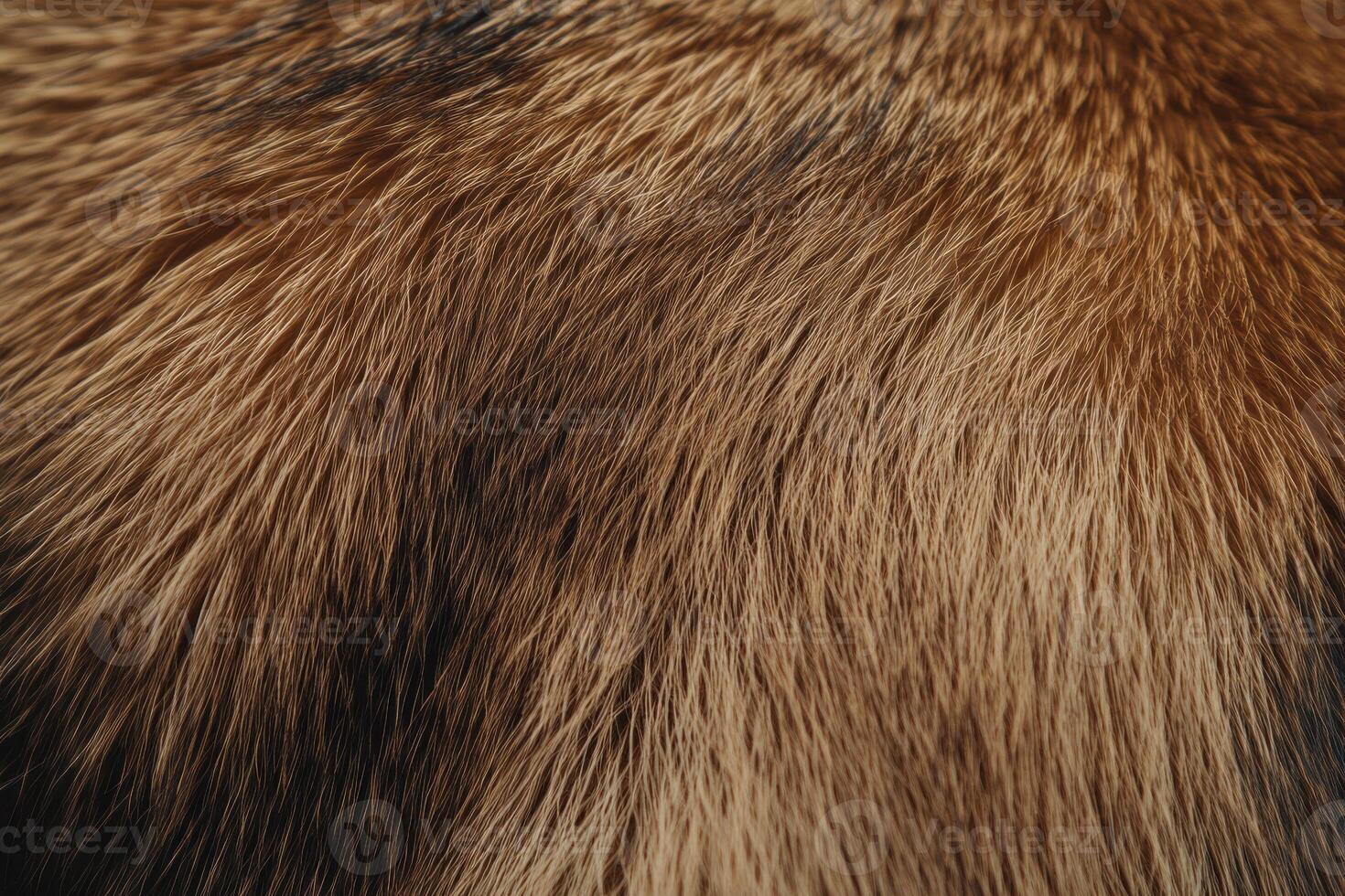 Close-up of golden-brown fur texture showing soft, natural tones in warm lighting photo