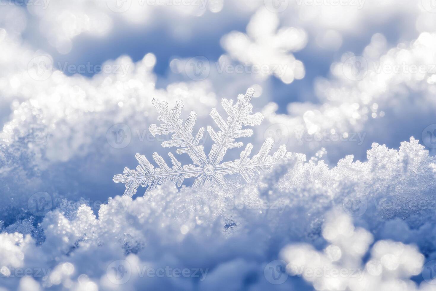 Snowflakes glisten in the sunlight on a winter morning in a serene snowy landscape photo