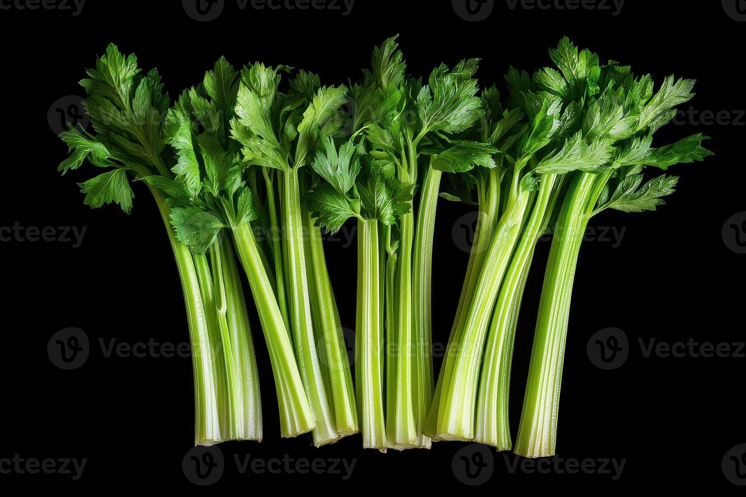 Freshly harvested green celery stalks arranged on a black background in natural light photo