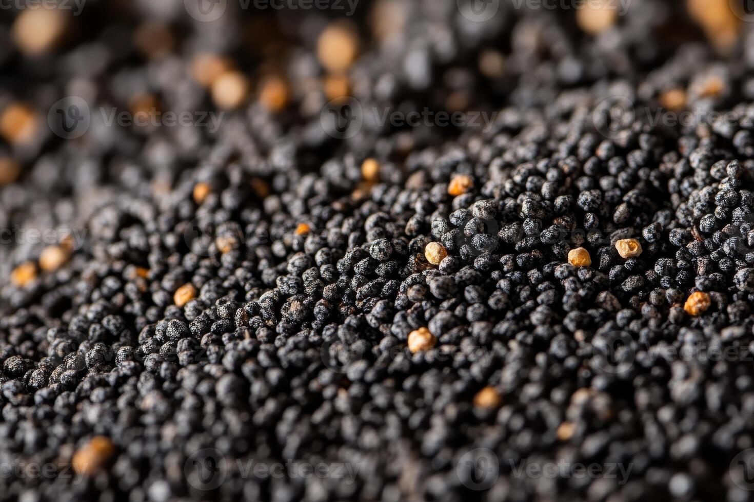Close-up view of black seed grains scattered on a surface, emphasizing texture and detail photo