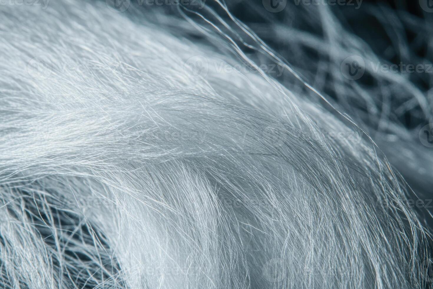 Light gray fibers intertwined on a dark background showcasing intricate textures and patterns photo