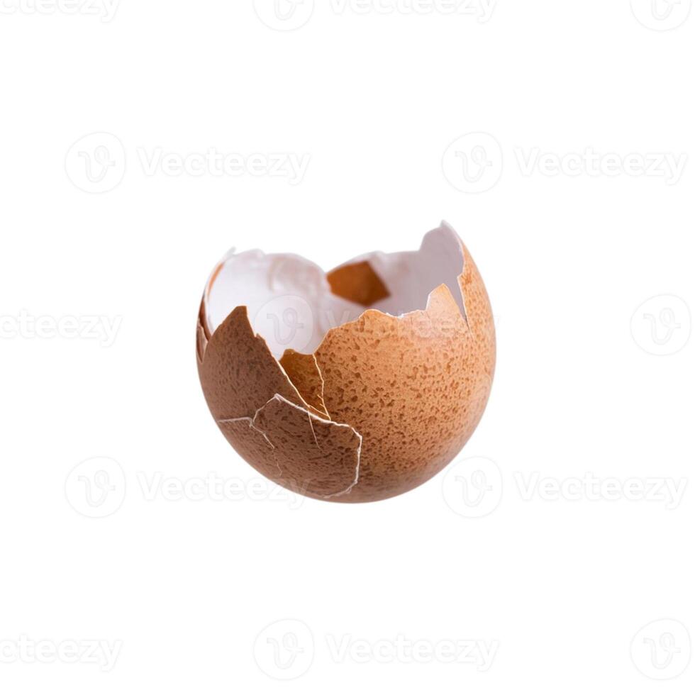 Discarded eggshell pieces on a clean white canvas photo