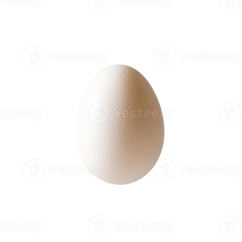 Cage-free chicken eggs arranged on a white backdrop photo