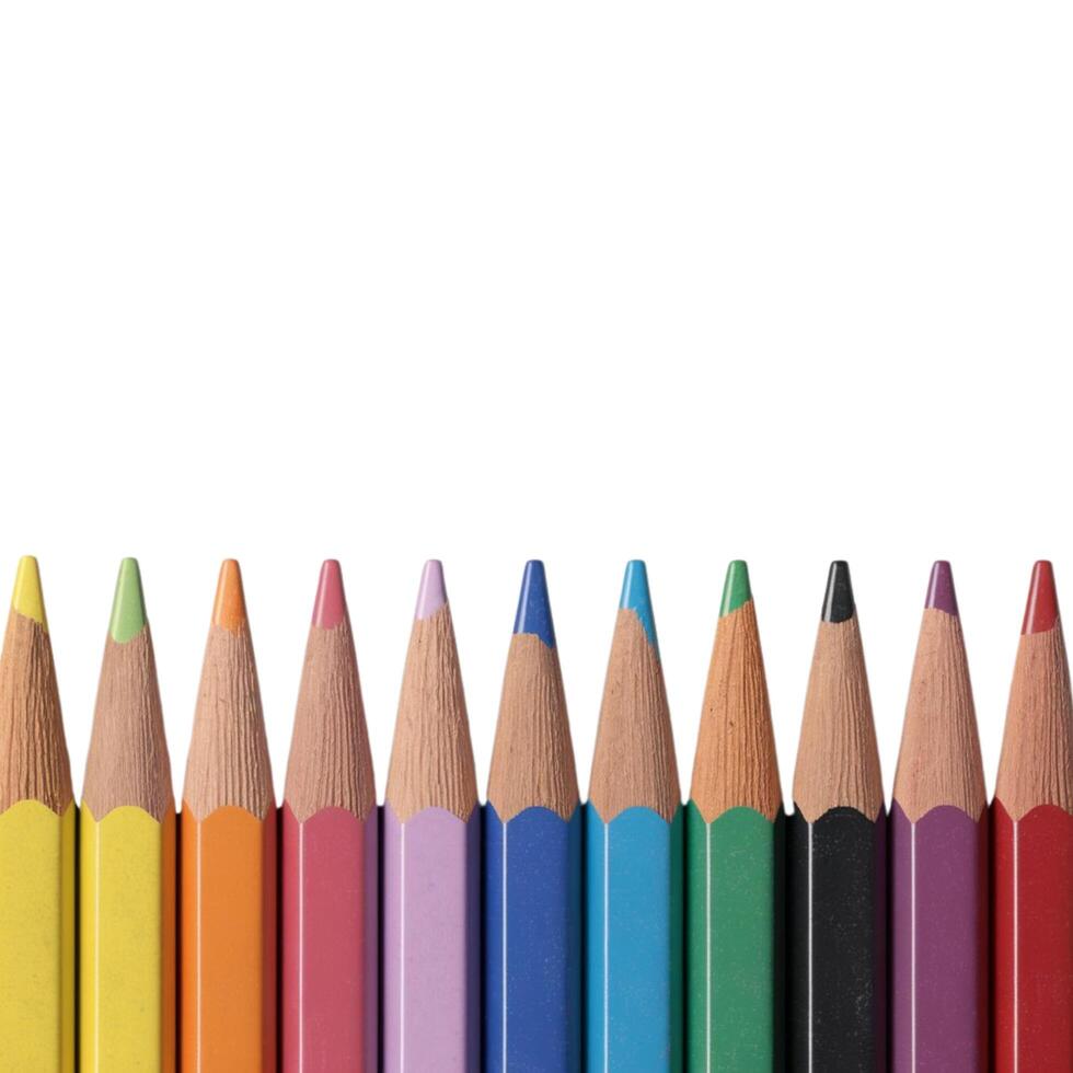 Vibrant pencils displayed on a clear background photo