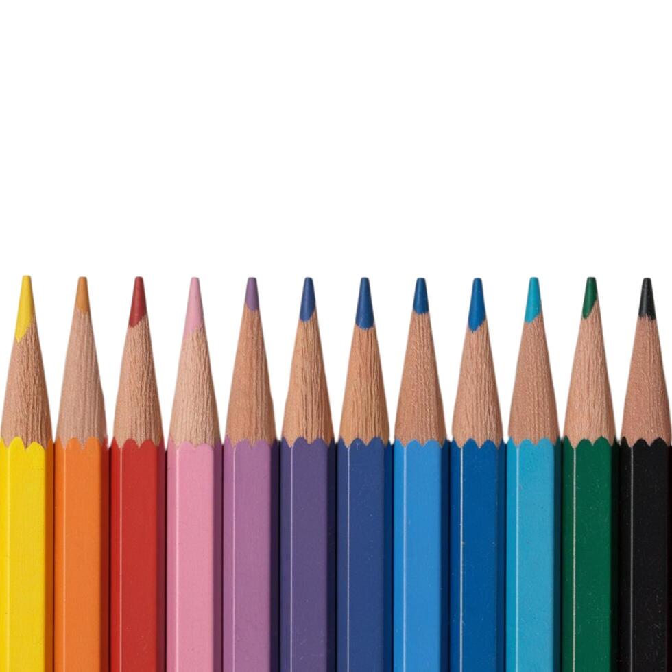 A row of colored pencils arranged on a white surface photo