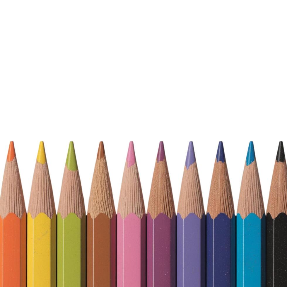 A set of colored pencils placed side by side on a white background photo