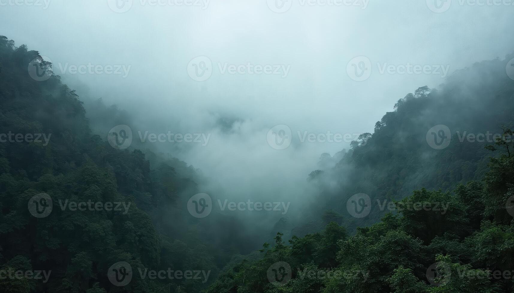 Foggy rainforest mountain valley covered in mist, serene and tranquil nature landscape. photo