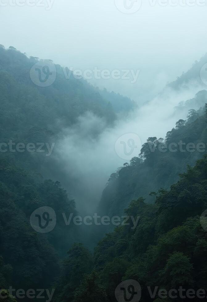 A serene view of a lush rainforest valley blanketed in thick mist, creating a mystical and tranquil atmosphere photo
