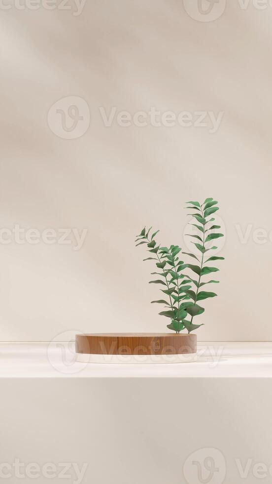 3D rendering blank space of wood texture cylinder podium in portrait with green leaf plant photo