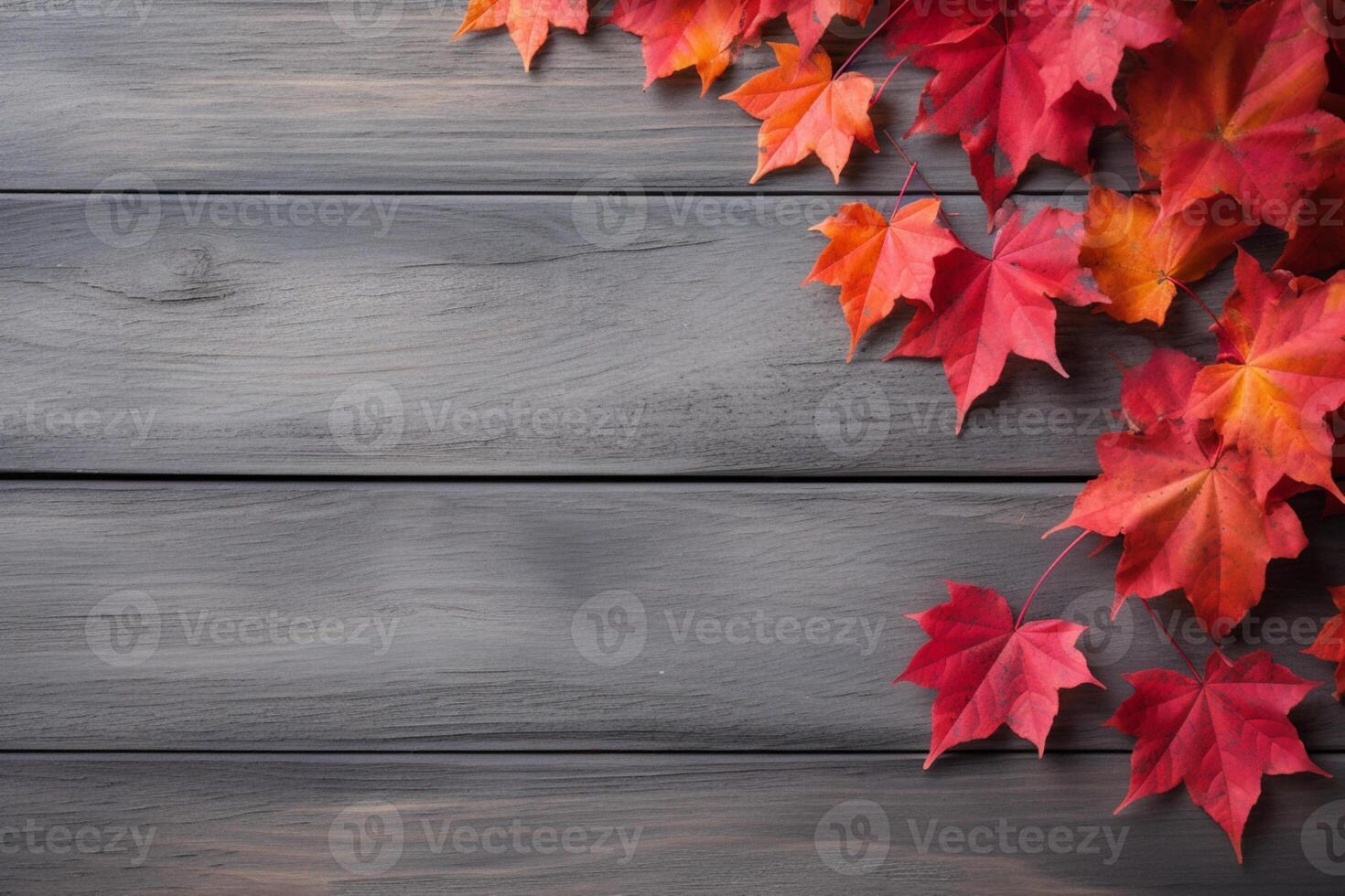 Autumn background and copy space. photo
