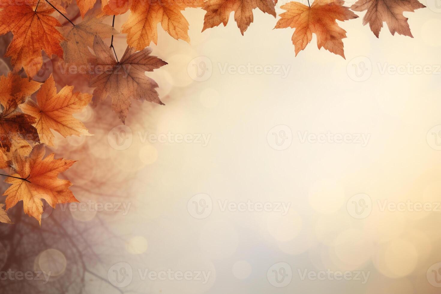 Autumn background and copy space. photo