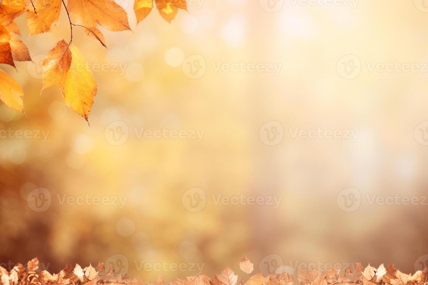 Autumn background and copy space. photo