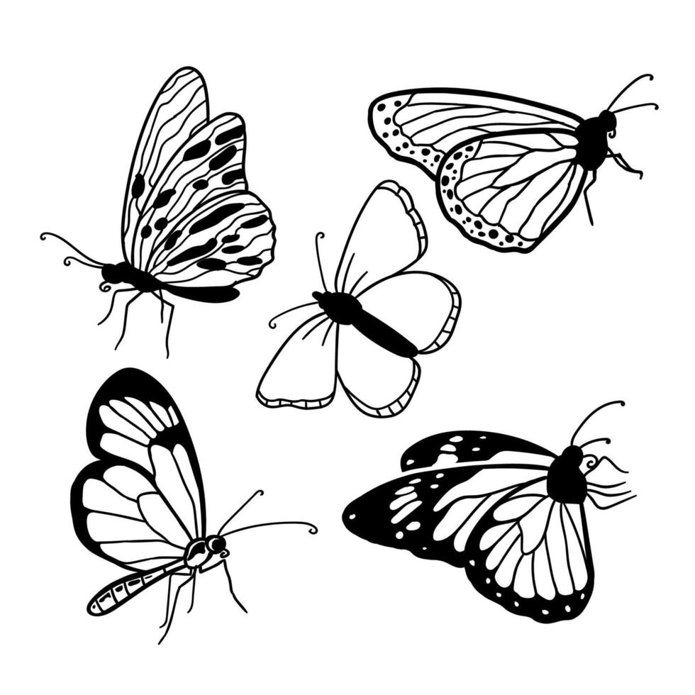 Art Illustration silhouette butterfly collection flat design vector
