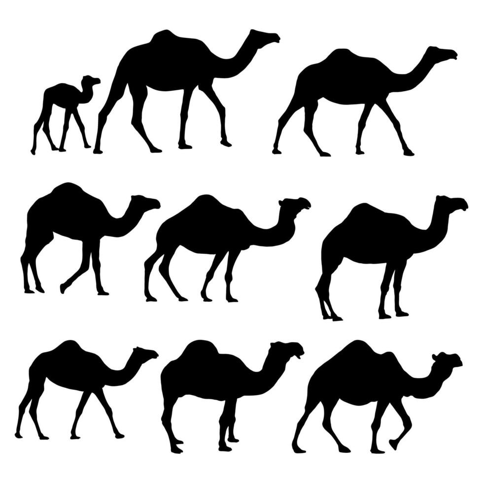 illustration silhouette camel animal collections flat design, icon set animals. vector