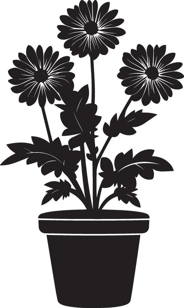 Chrysanthemum flowers in pot clean simple icon silhouette black vector